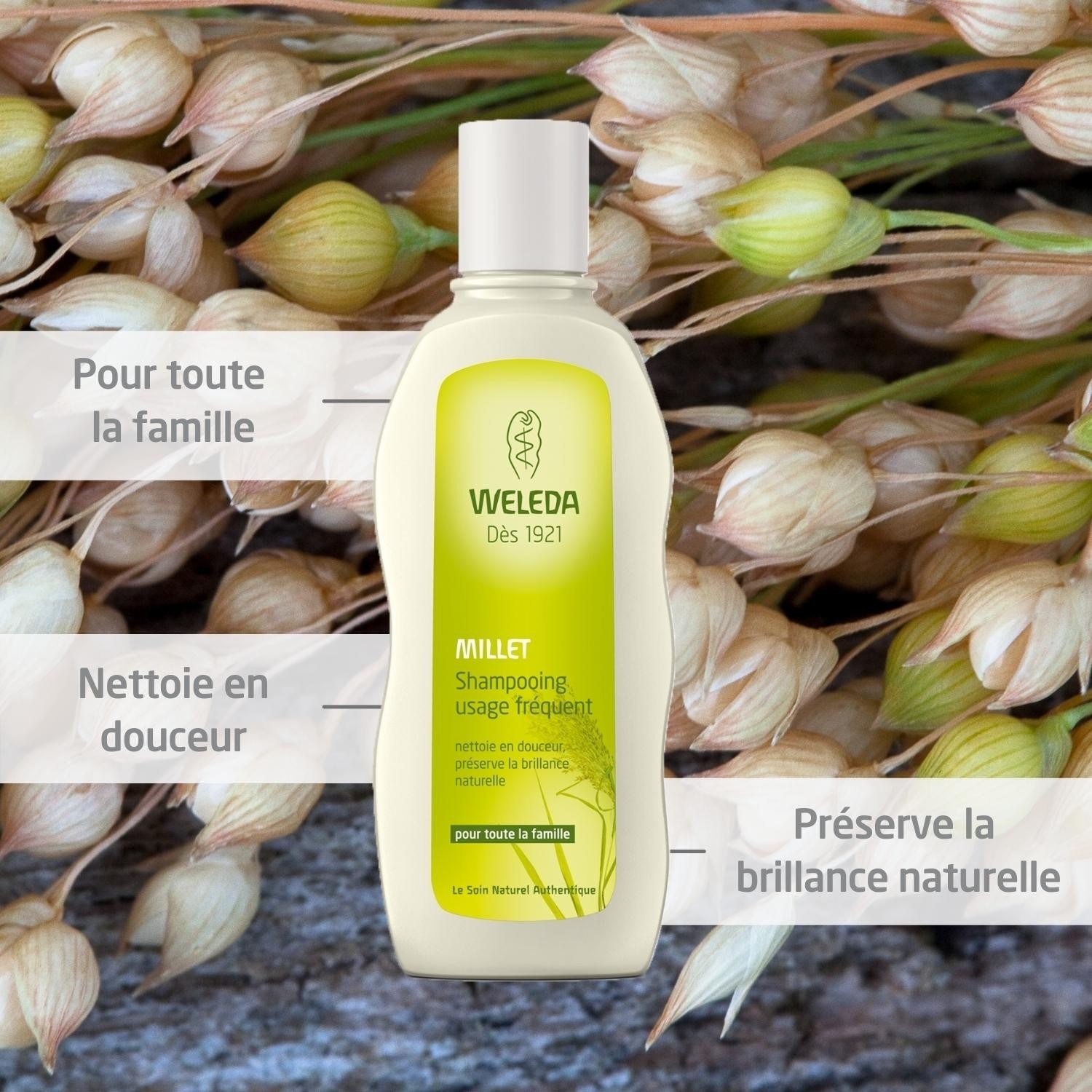 Weleda Shampooing usage fréquent au Millet - 190 ml