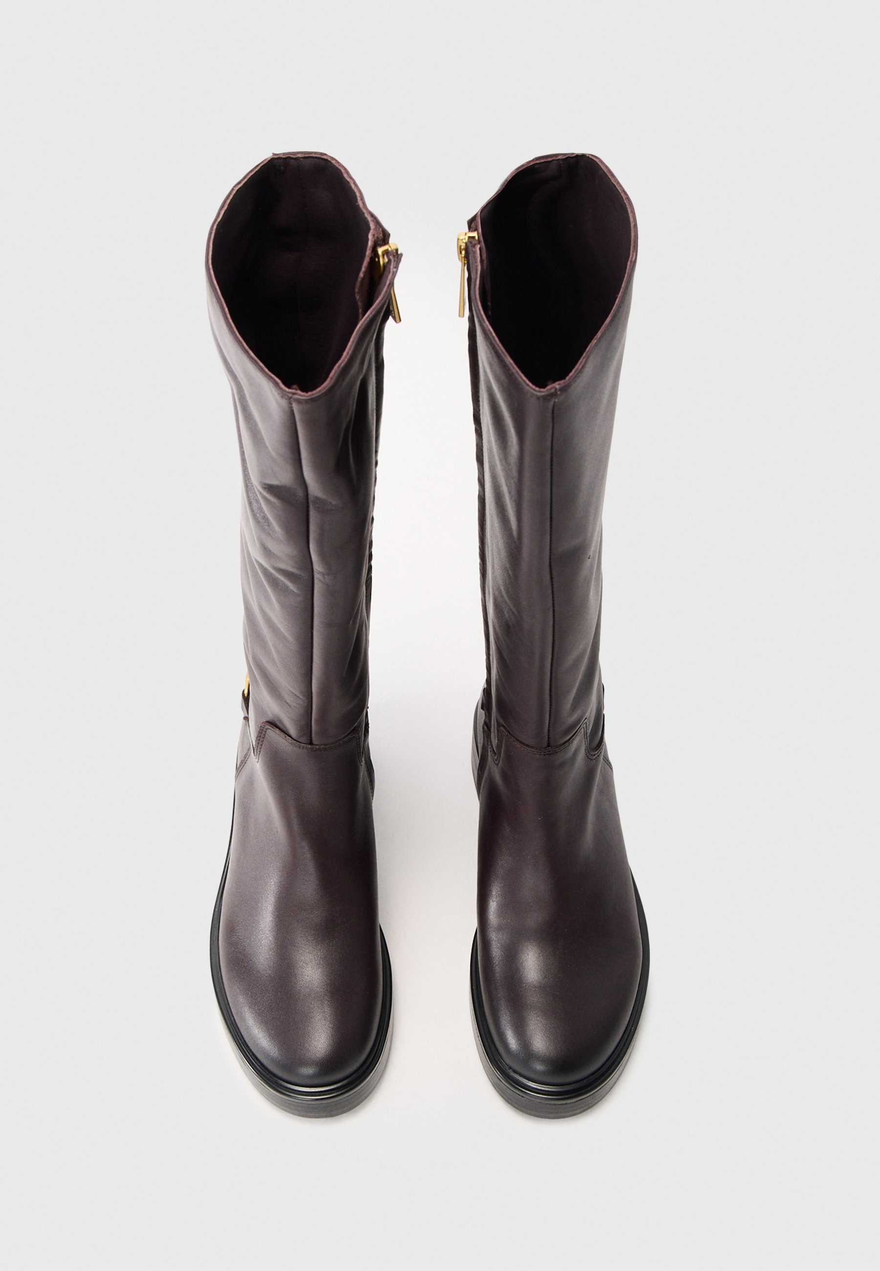 Tommy Hilfiger HORSEBIT - Laarzen - brookwood