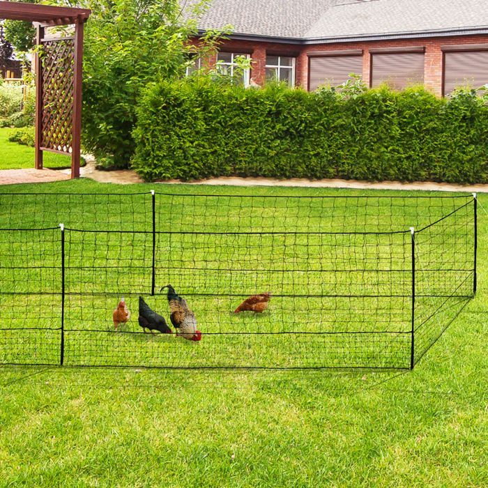 Filet pour poules - enclos poulailler - 12M