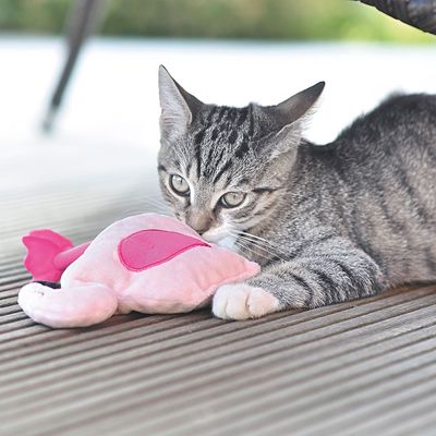 Aumüller Pinky Flamingo mit Baldrian & Dinkel