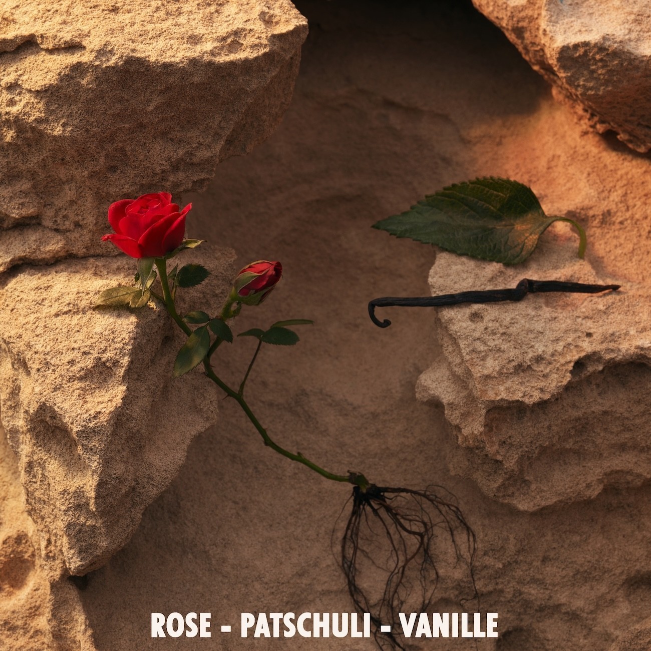 Jil Sander Sunset Intense parfuminis vanduo - 75 ml