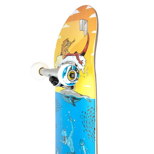  Complete Skate Crandon SKC825under