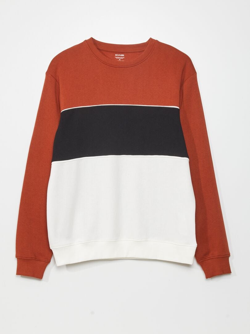 Sweatshirt met kleurblokken van fleecestof - BRUIN