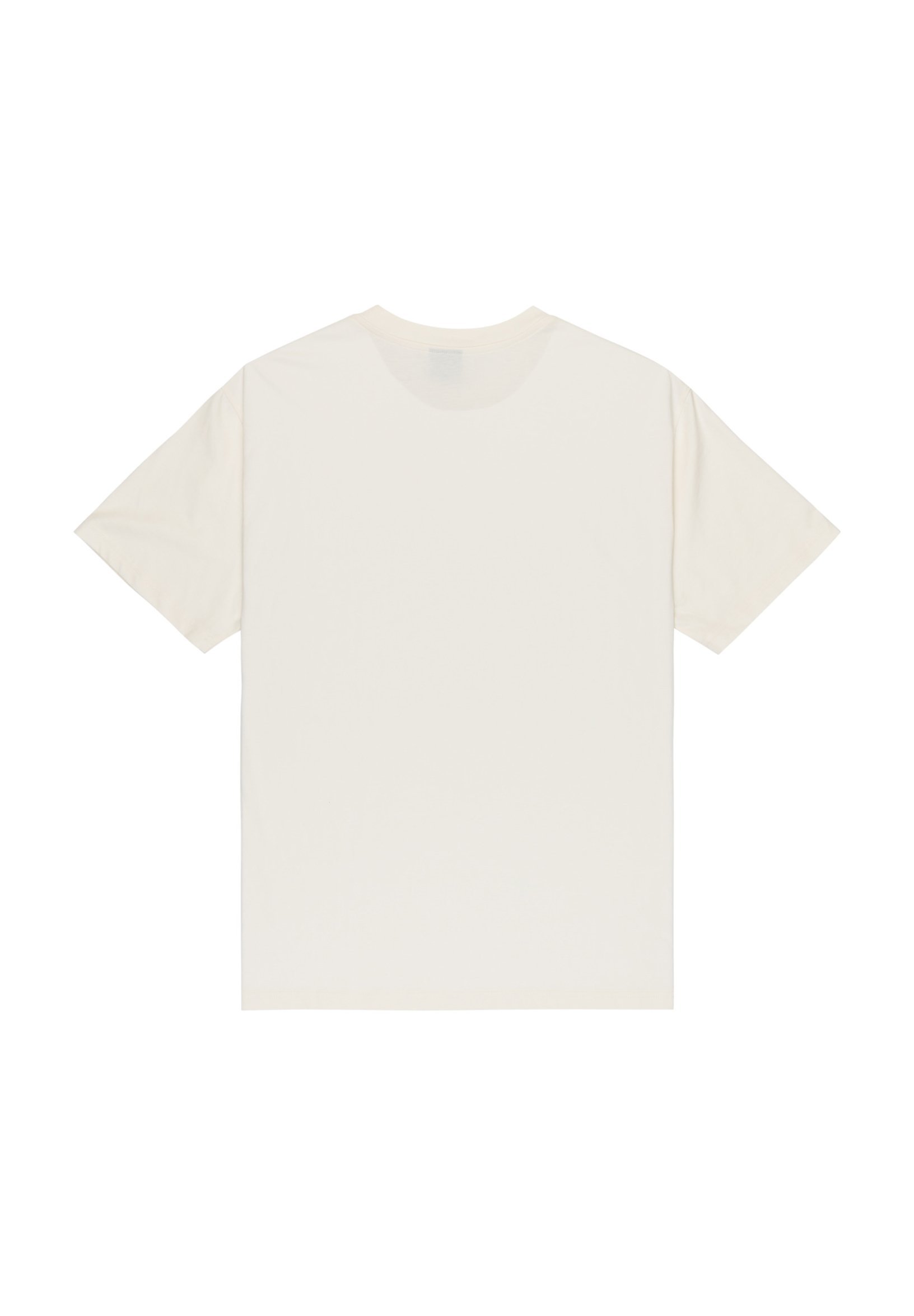 Quiksilver ADDIO - T-shirt stampata - bianco neve