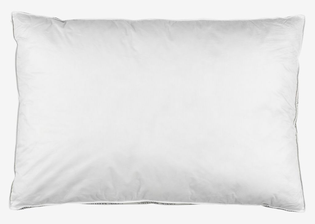 NOTODDEN plus Pīles spalvu spilvens 50x70x3 NOTODDEN