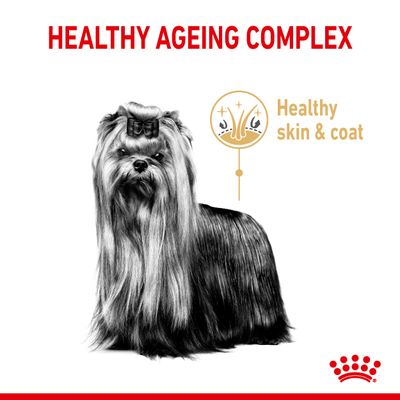 Royal Canin Yorkshire Terrier Adulte 8+