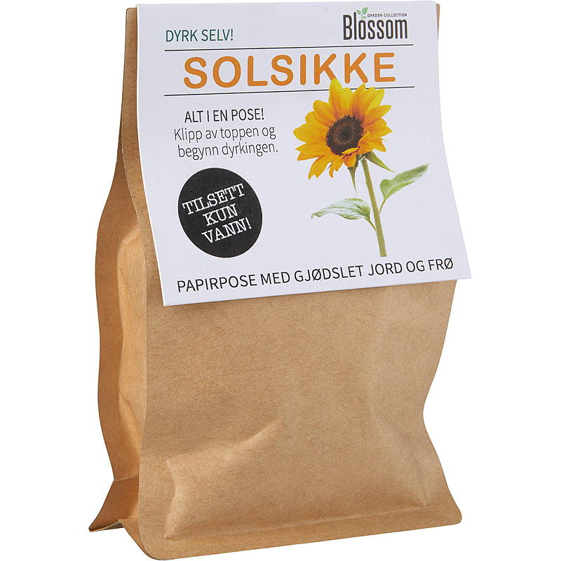 Bolsa de cultivo de flores, semillas de girasol, flor