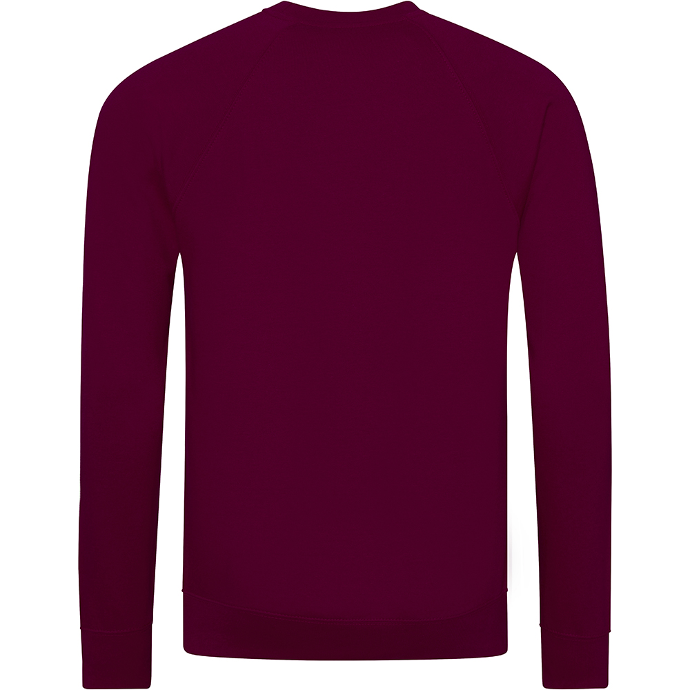 Sudadera Con Mangas Raglan Awdis Academy