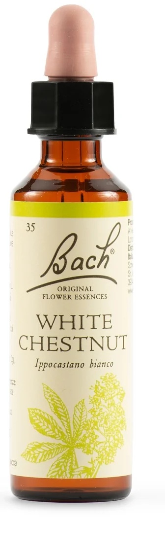 SCHWABE Schwabe Bach Originele Witte Kastanje Bachbloesems 20 ml