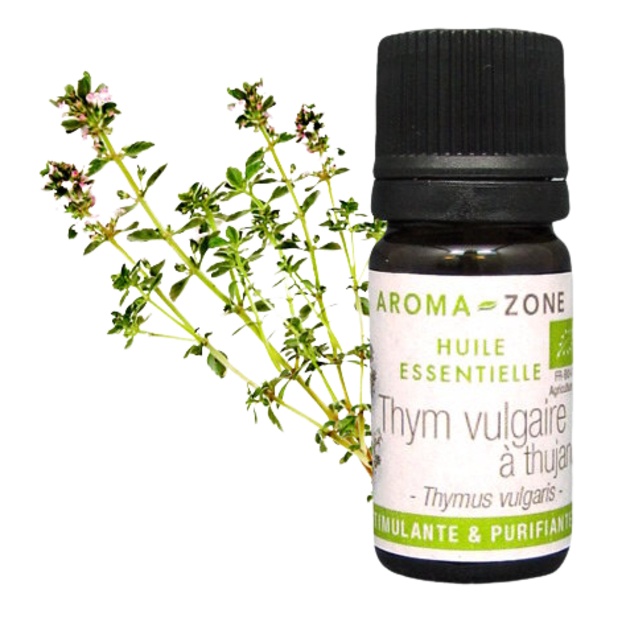 Ätherisches Bio-Thymianöl mit Thujanol aus der Provence, 5 ml