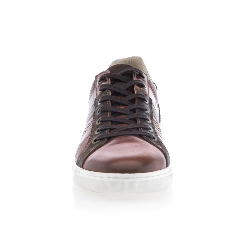 Kosarak / sportcipők Homme Marron