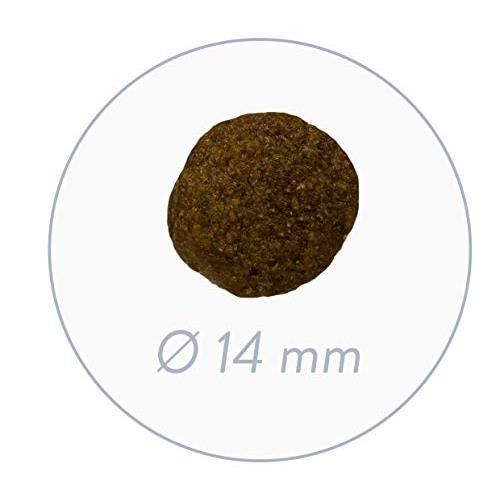 Nourriture Sèche pour Chien - BOSCH - HPC Junior - Agneau et Riz - Chiots Sensibles - 5 à 10 kg