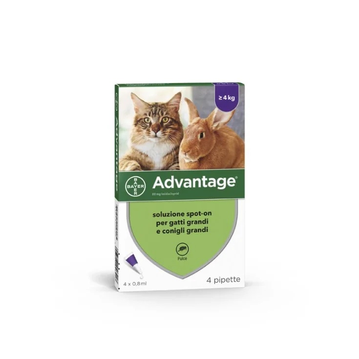 ADVANTIX Advantage Spot-On pour chats/lapins 4 x 80 mg | 4 x 0,8 ml