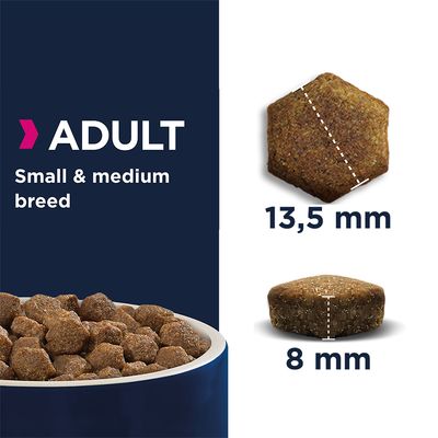Eukanuba Kornfritt Adult Fôr til Små og Mellomstore Raser med Laks