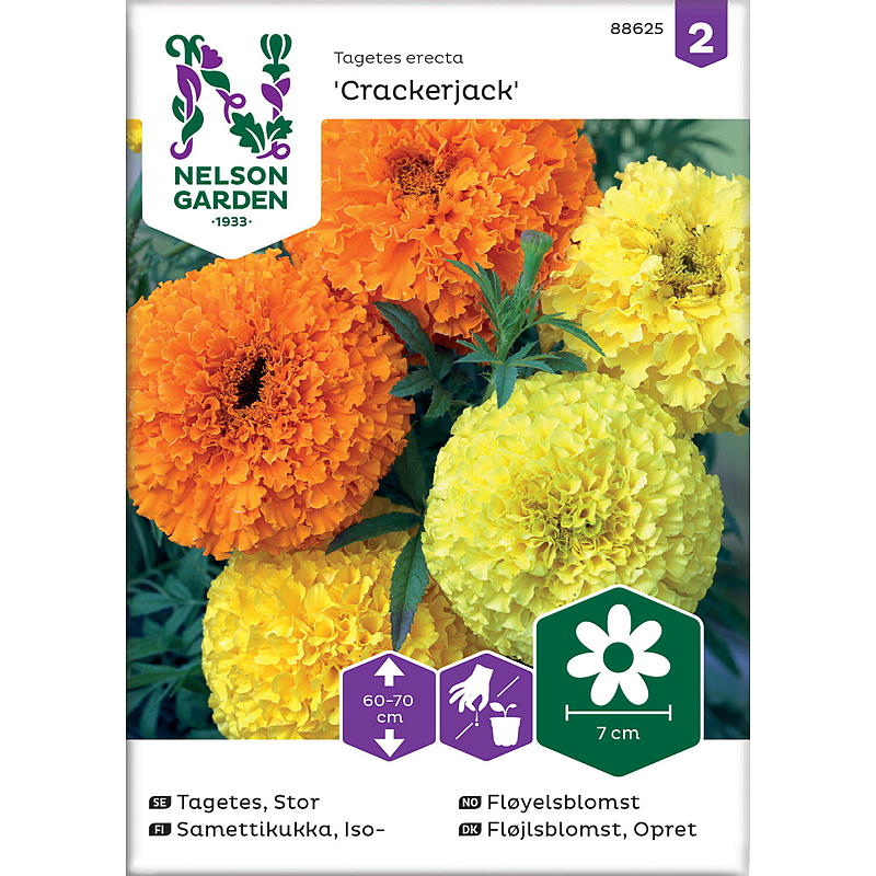 Nelson tuinzaden Fluweelbloem Jackfruit, hoog