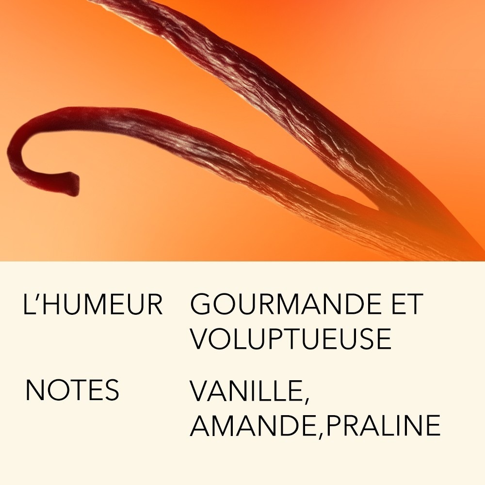 L`Atelier Parfum EXQUISE TENTATION 15ML