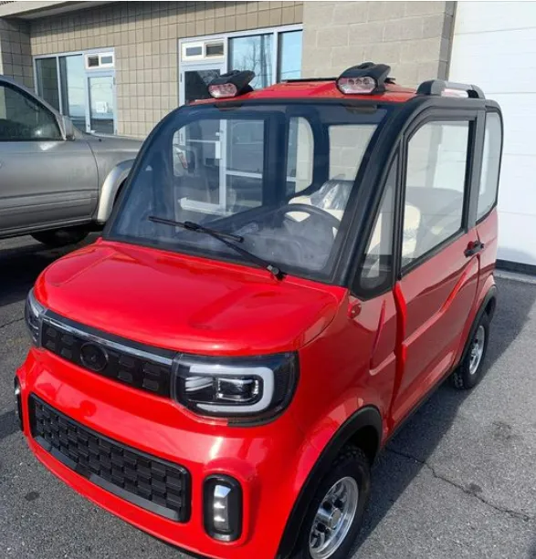 Backlog-2-Sitzer Elektro-Outdoor-Scooter
