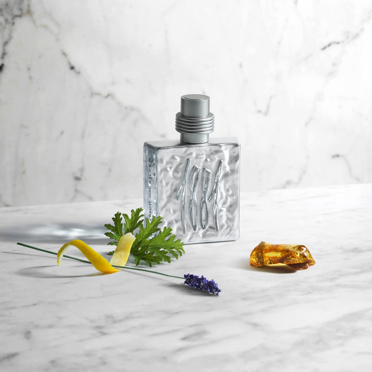 Cerruti 1881 Silver