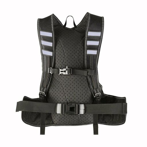 Proviz Reflect360 hardlooprugzak 10L