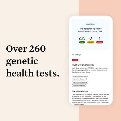 Wisdom Panel™ Premium DNA-test voor honden