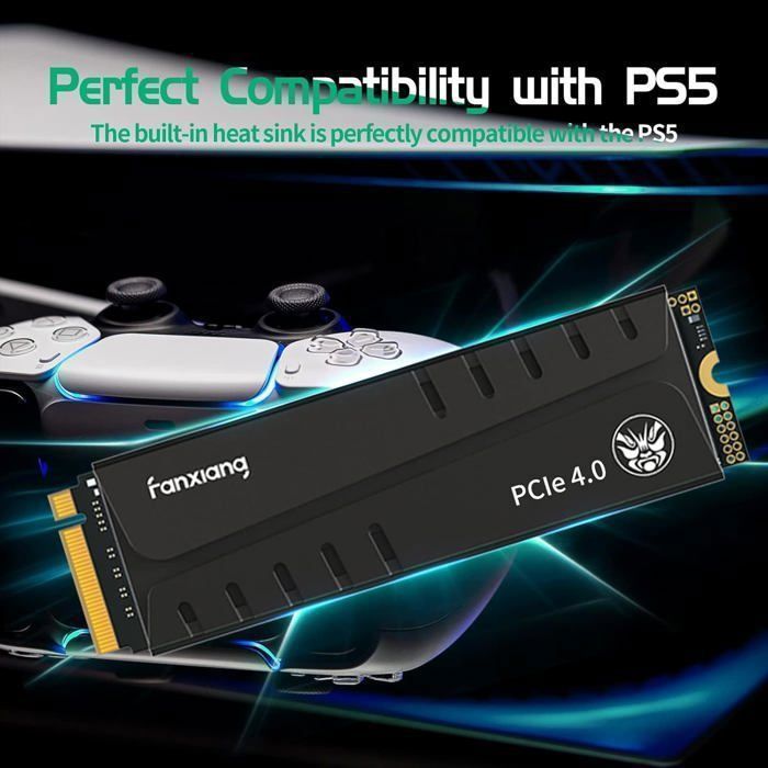 Fanxiang S770 500GB NVMe M.2 PCIe 4.0 Interne SSD für PS5 mit Kühlkörper