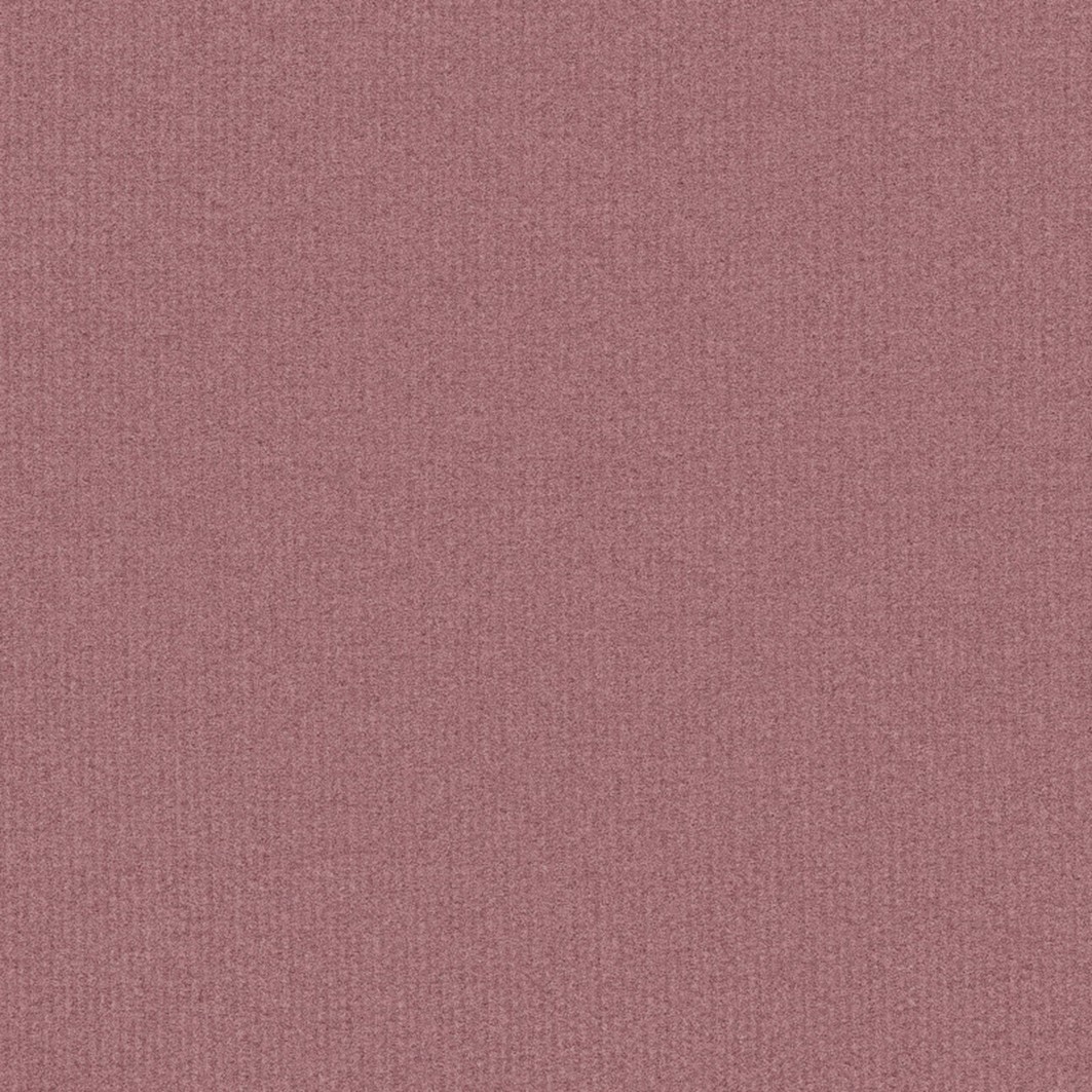SO BiO étic Pure Color