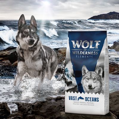 Wolf of Wilderness Adulto 'Vast Oceans' - Pesce
