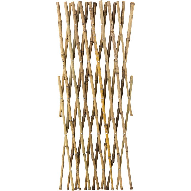 Blossom Espalier 180x70 cm, bambu
