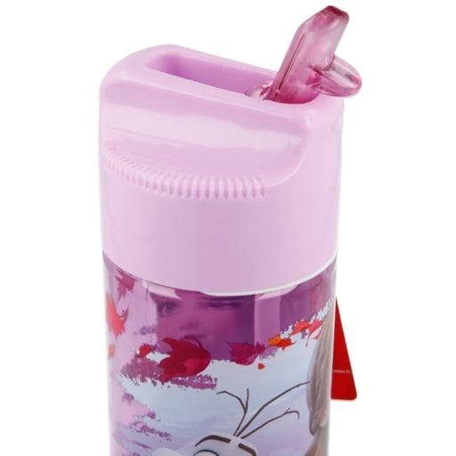  Garrafa congelada de 540ml