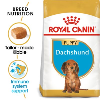 Royal Canin Štěně jezevčíka