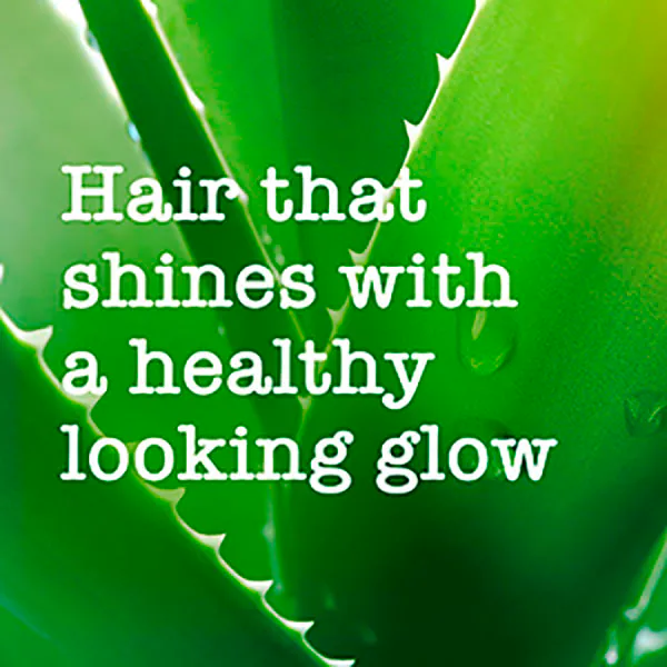 Shampoo Maui Moisture Shine Amplifying Awaphui 385ml