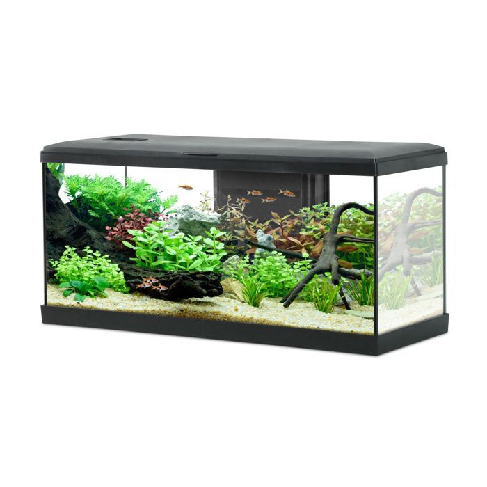 Acquario Zolux Tana LED da 80 cm, nero - Nero