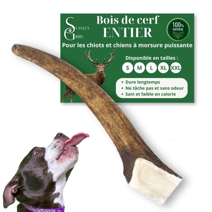 Bois de cerf pour Chien a Macher Entier Taille S Friandise pour Chiots et Chiens de Tout ges Jouet Mastication 1 pice
