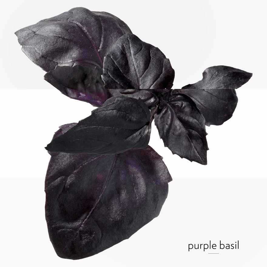 Apă de colonie cu busuioc violet 50ml - HERMÈS