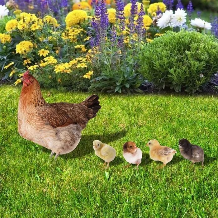 5pièces décoration jardin poulet,figurines drôles ornement animal extérieur YYV