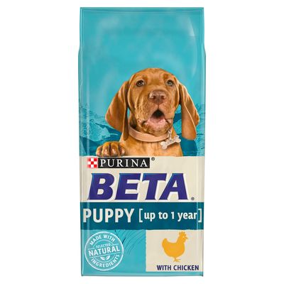 Chiot BETA Poulet