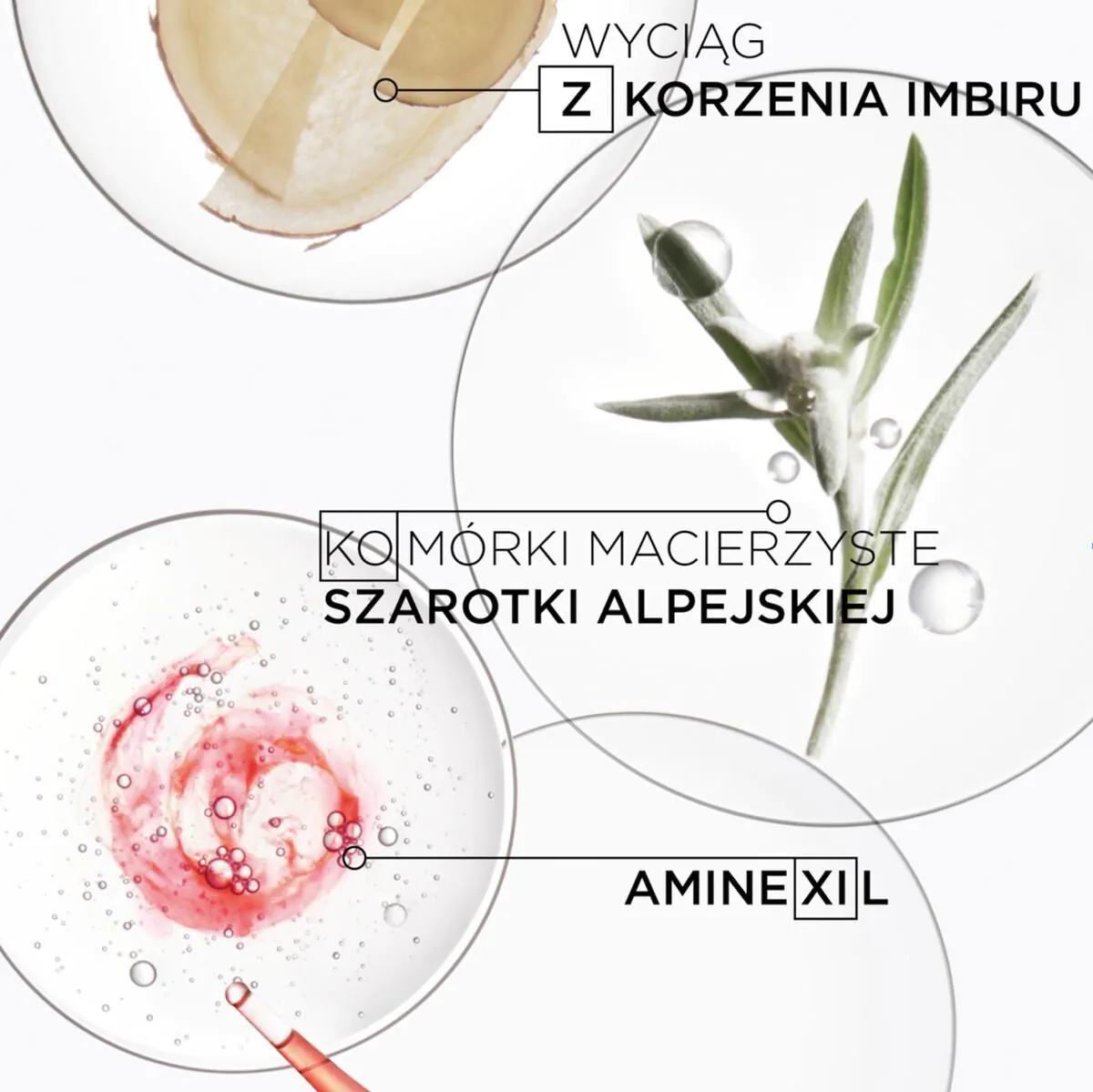 Kérastase Genesis Kuracja przeciw wypadaniu włosów