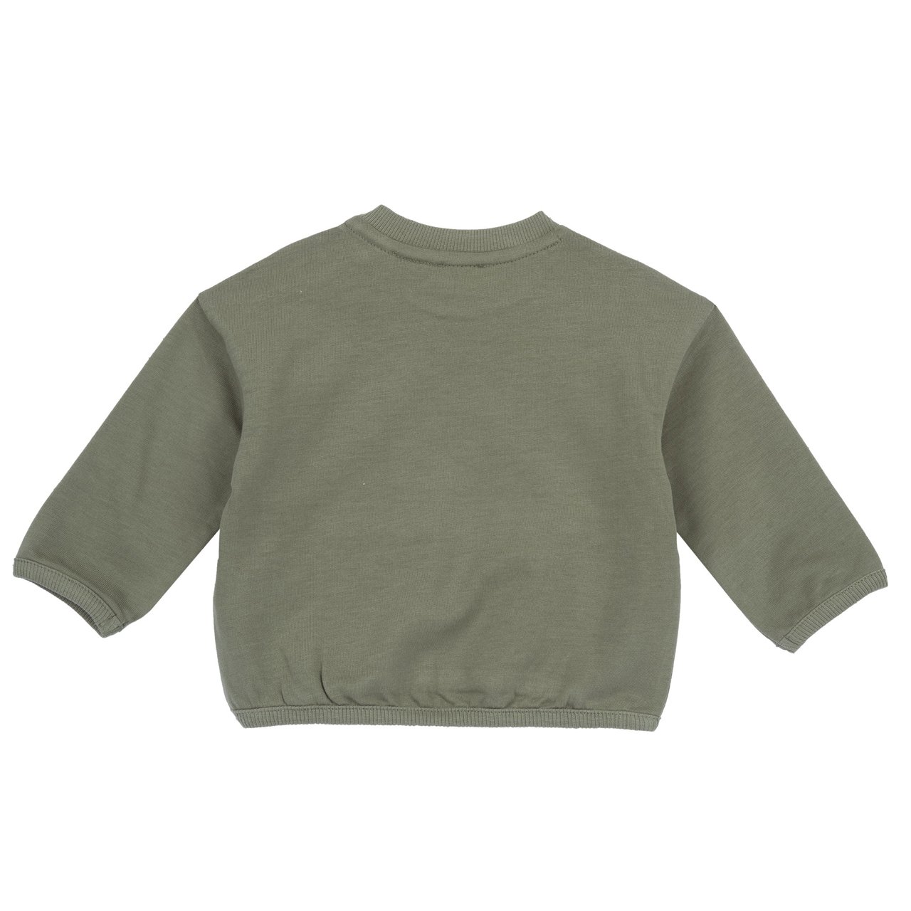 Sudadera „Freunde der Natur“ verde