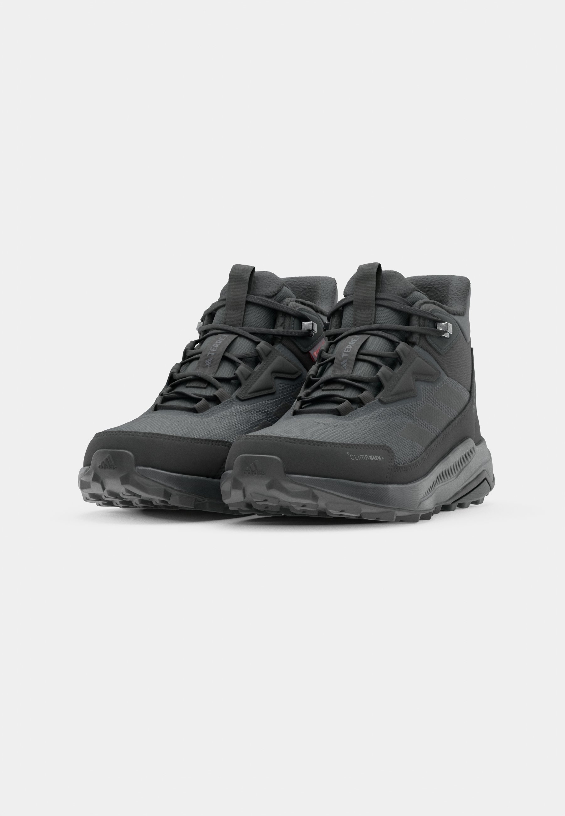 Adidas Terrex ANYLANDER CLIMAWARM - Zimske čizme - karbonske/temno crne/sive šest