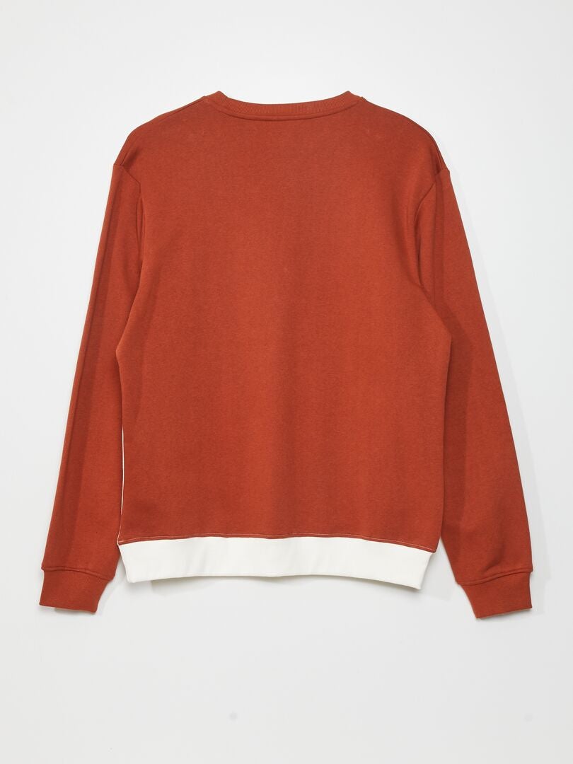 Sweatshirt met kleurblokken van fleecestof - BRUIN