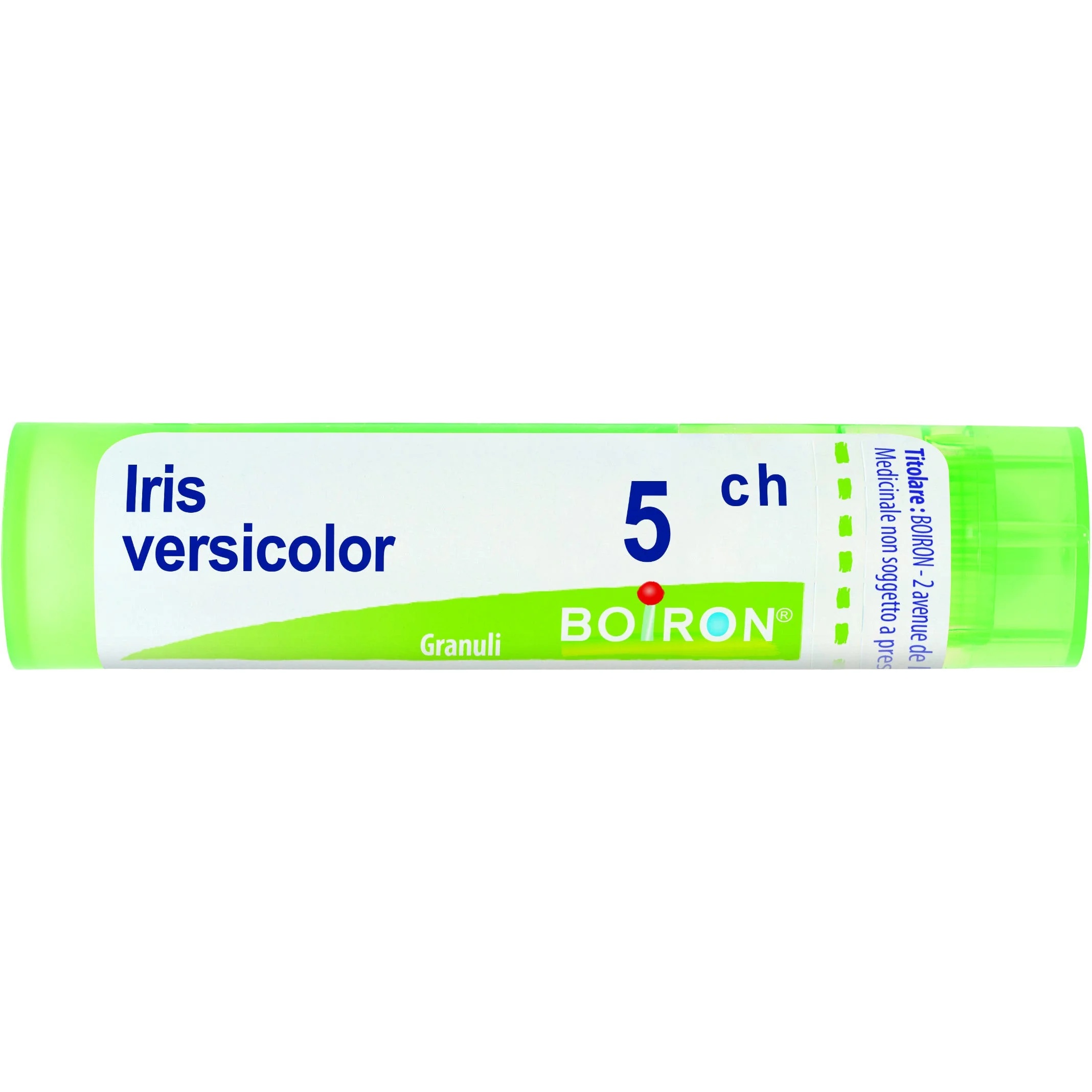 BOIRON Iris Versicolor 5 Ch 80 Gr 4 G