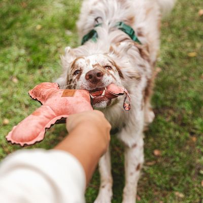 Giocattolo per cani Nomad Tales Blush Flying X