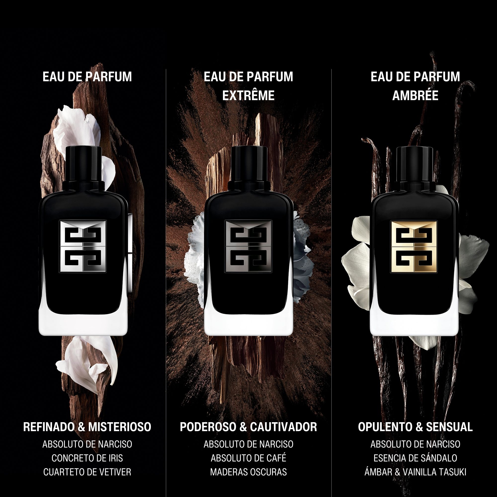 Gentleman Society Ambrée parfemska voda Eau de parfum (EDP)
