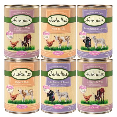 Lukullus Junior blandet prøvepakke 6 x 400 g