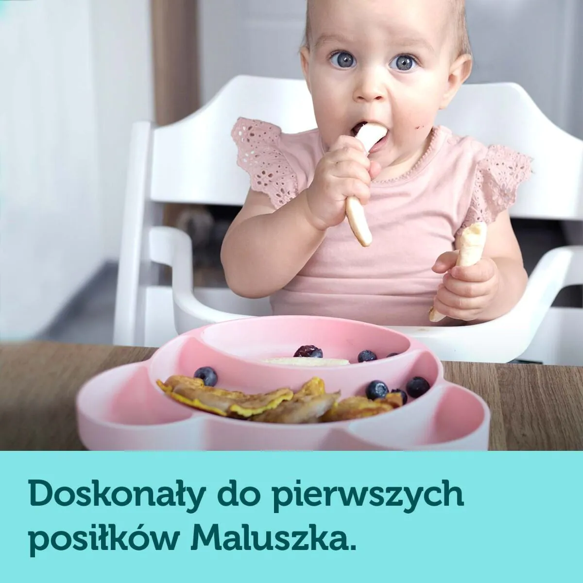 Canpol Babies Talerzyk Silikonowy, Trójdzielny z Przyssawką Miś Różowy