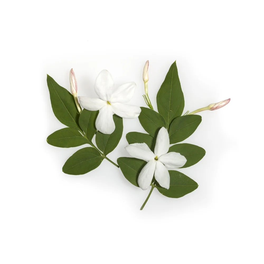 APIVITA Savon Naturel Apivita au Jasmin 125 g Nettoyage Doux