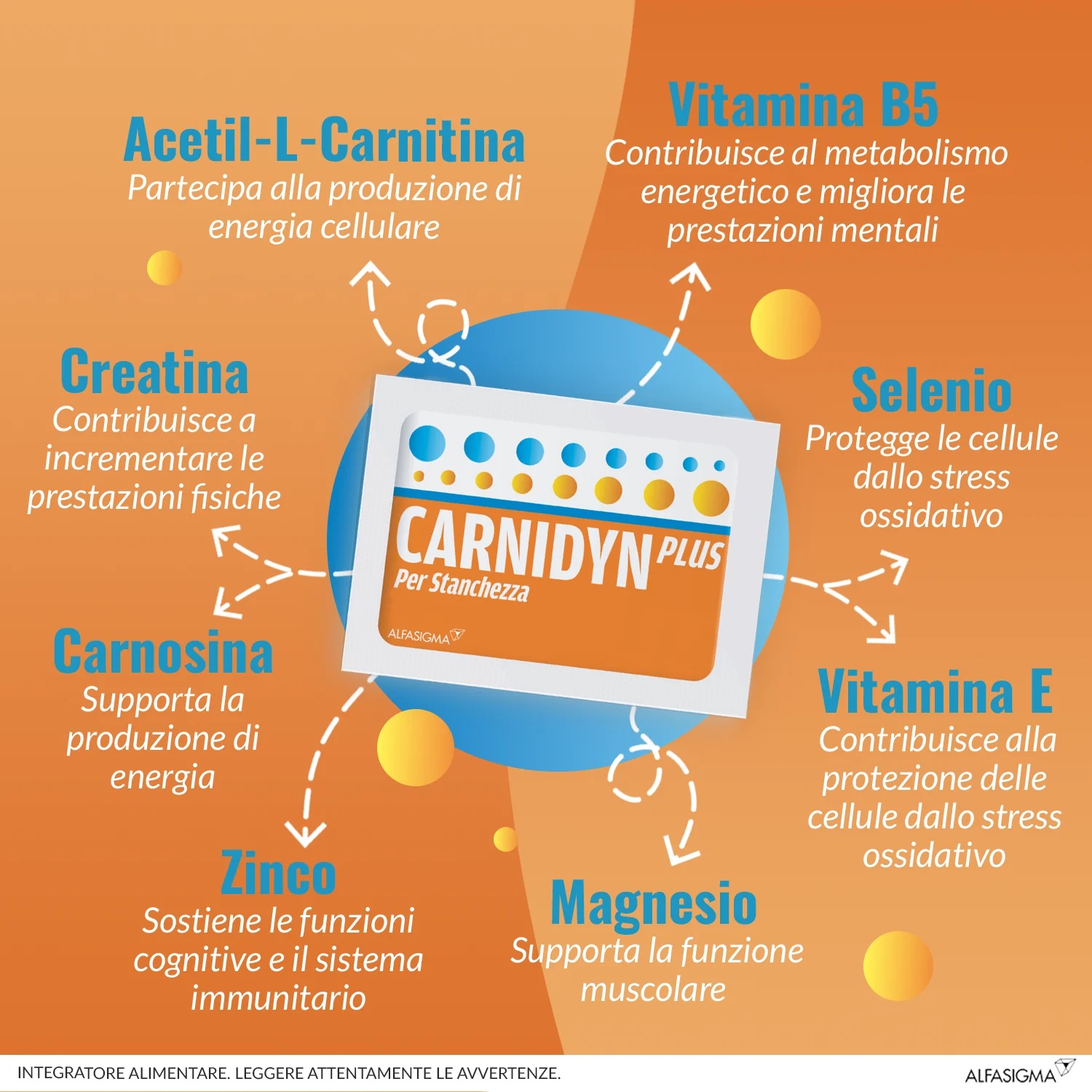 CARNIDYN Alfasigma Carnidyn Plus 20 zakjes Voedingssupplement tegen fysieke en mentale vermoeidheid
