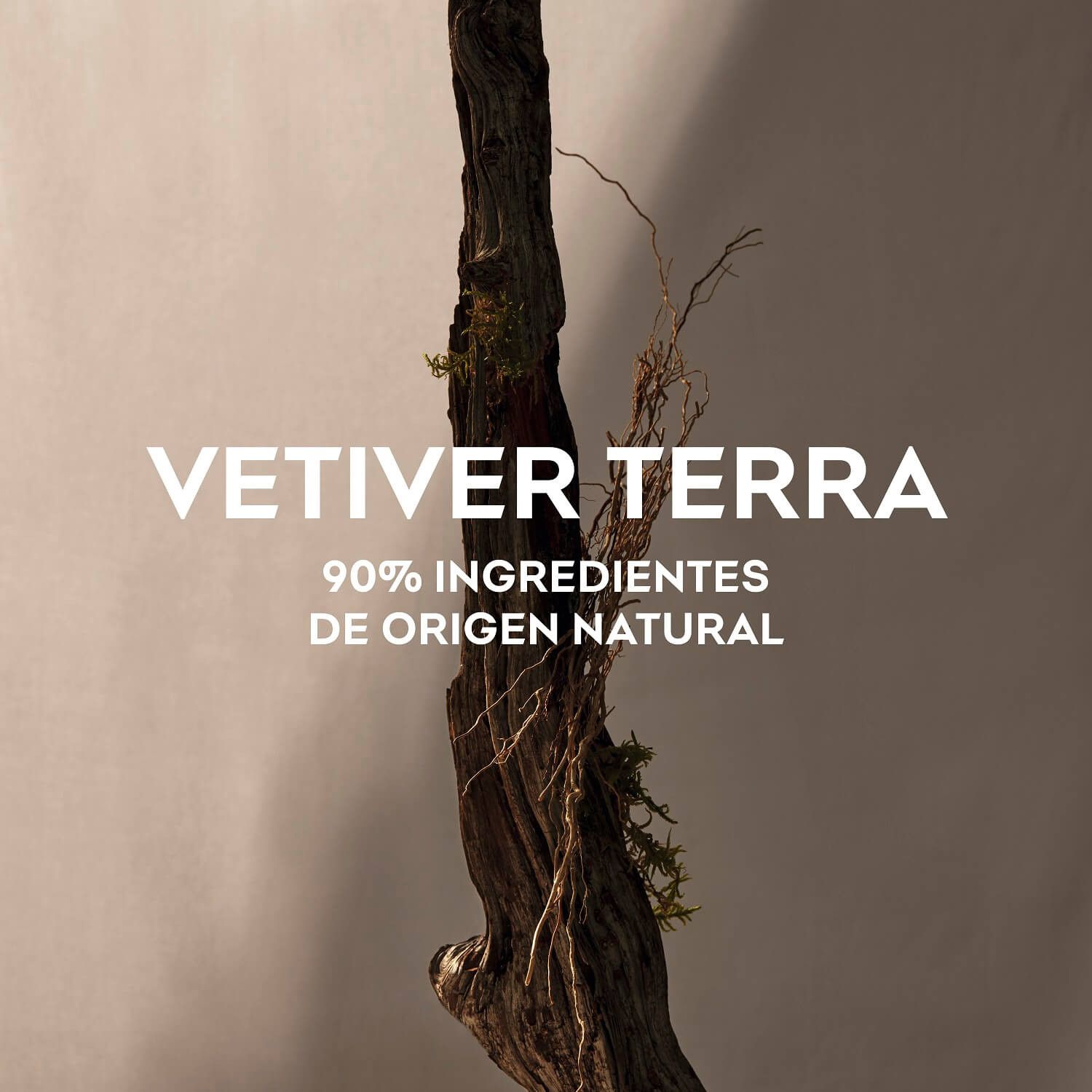 Vetiver Terra EDP Parfémy pre mužov
