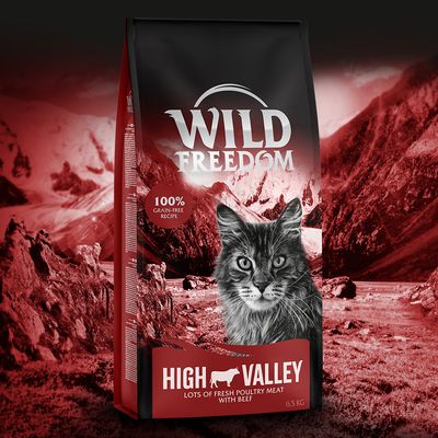 Wild Freedom 