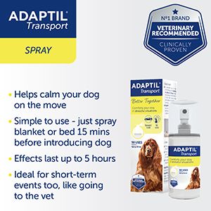 Spray de transport ADAPTIL®